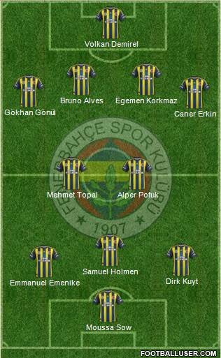 Fenerbahçe SK Formation 2013