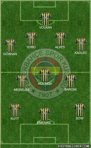 Fenerbahçe SK Formation 2013