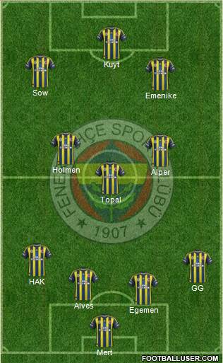 Fenerbahçe SK Formation 2013