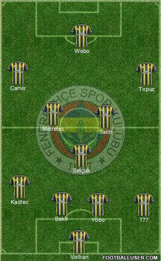 Fenerbahçe SK Formation 2013