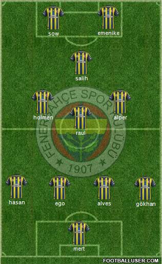 Fenerbahçe SK Formation 2013