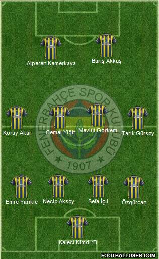 Fenerbahçe SK Formation 2013
