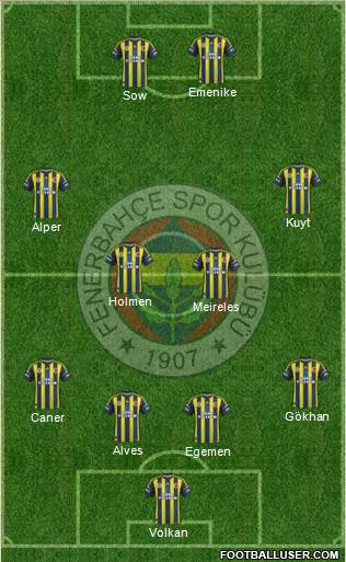 Fenerbahçe SK Formation 2013