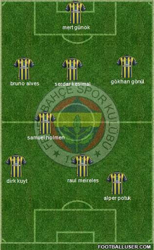 Fenerbahçe SK Formation 2013