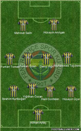 Fenerbahçe SK Formation 2013