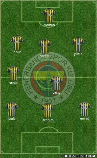 Fenerbahçe SK Formation 2013