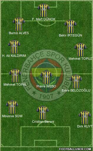 Fenerbahçe SK Formation 2013