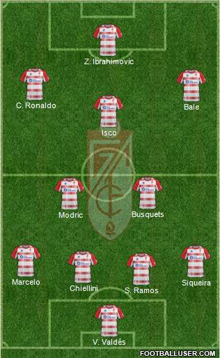 Granada C.F. Formation 2013