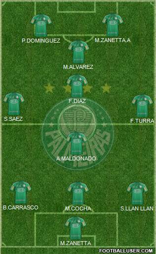 SE Palmeiras Formation 2013