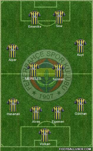 Fenerbahçe SK Formation 2013