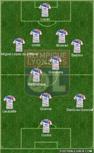 Olympique Lyonnais Formation 2013
