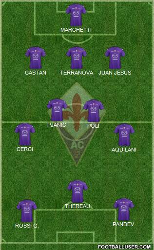 Fiorentina Formation 2013