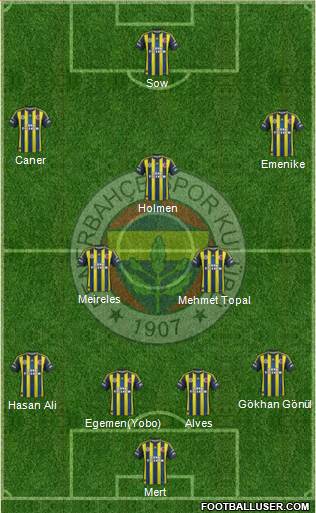 Fenerbahçe SK Formation 2013