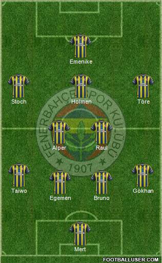 Fenerbahçe SK Formation 2013