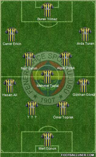 Fenerbahçe SK Formation 2013