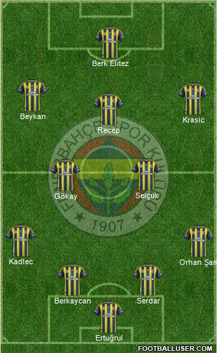 Fenerbahçe SK Formation 2013