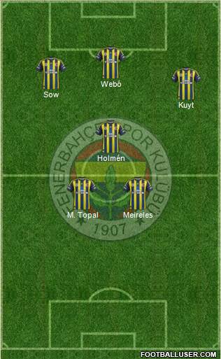 Fenerbahçe SK Formation 2013