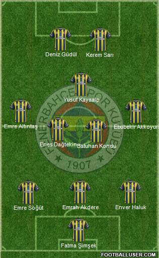 Fenerbahçe SK Formation 2013
