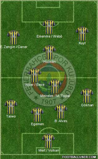 Fenerbahçe SK Formation 2013