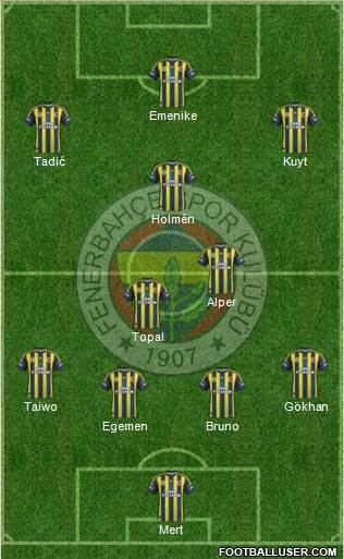 Fenerbahçe SK Formation 2013