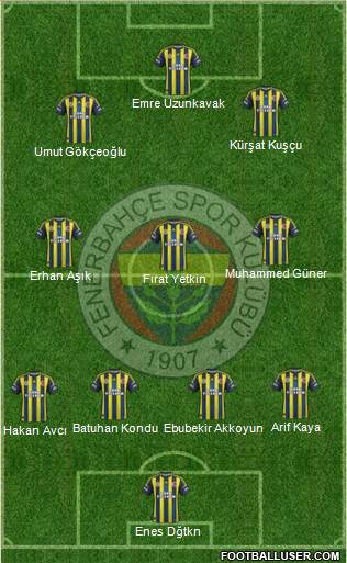 Fenerbahçe SK Formation 2013