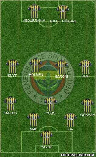 Fenerbahçe SK Formation 2013