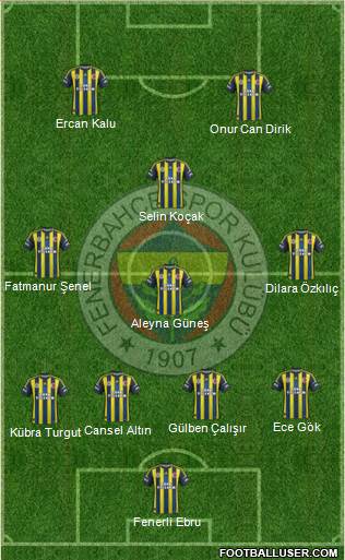 Fenerbahçe SK Formation 2013