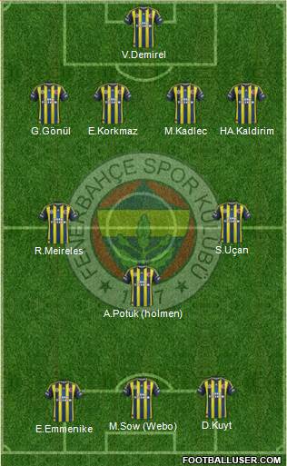 Fenerbahçe SK Formation 2013