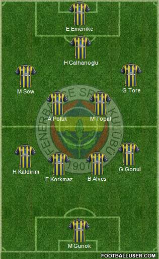 Fenerbahçe SK Formation 2013