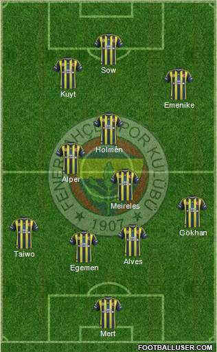 Fenerbahçe SK Formation 2013