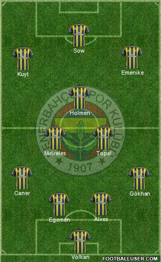 Fenerbahçe SK Formation 2013