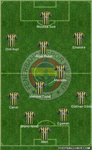 Fenerbahçe SK Formation 2013