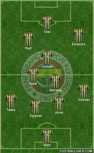 Fenerbahçe SK Formation 2013