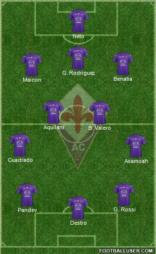 Fiorentina Formation 2013