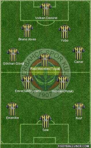 Fenerbahçe SK Formation 2013