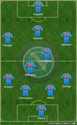 Napoli Formation 2013
