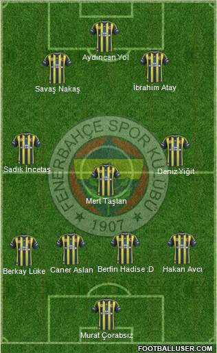 Fenerbahçe SK Formation 2013