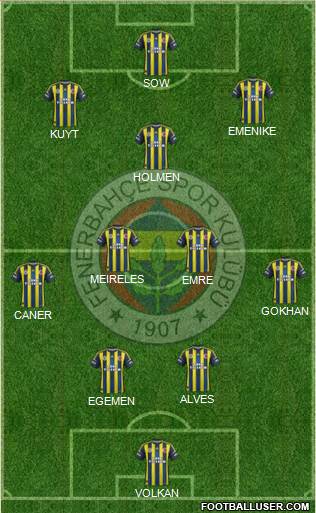 Fenerbahçe SK Formation 2013