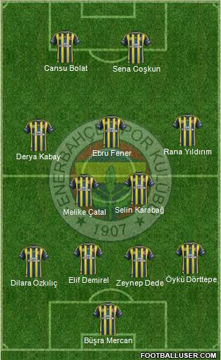 Fenerbahçe SK Formation 2013