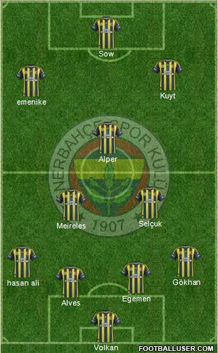 Fenerbahçe SK Formation 2013