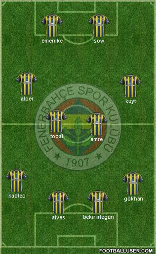 Fenerbahçe SK Formation 2013
