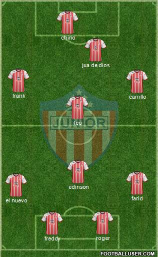 CPD Junior Formation 2013