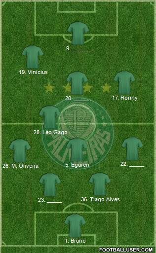SE Palmeiras Formation 2013