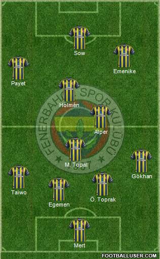Fenerbahçe SK Formation 2013