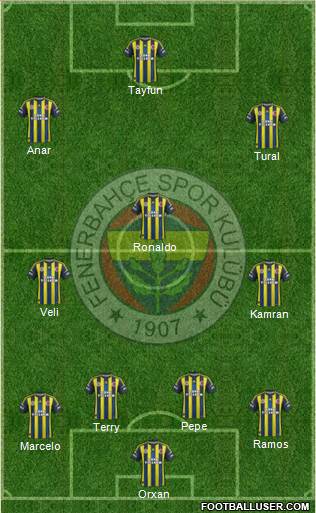 Fenerbahçe SK Formation 2013