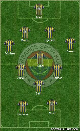 Fenerbahçe SK Formation 2013