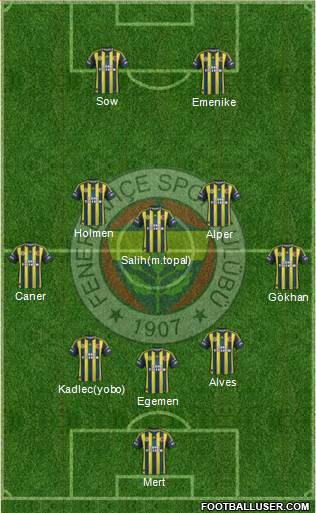 Fenerbahçe SK Formation 2013