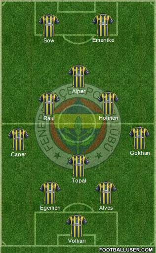 Fenerbahçe SK Formation 2013