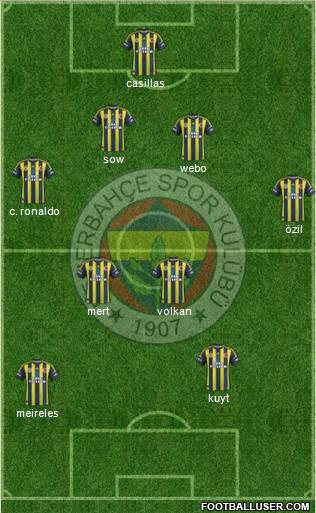 Fenerbahçe SK Formation 2013