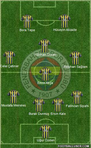 Fenerbahçe SK Formation 2013